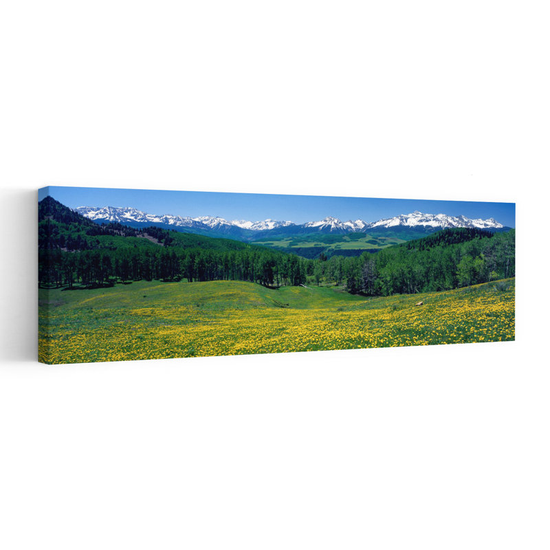 «San San Mountains», art floral abstrait contemporain, forêt, Colorado, H 12 po x l 36 po