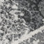 Nornton Abstract Area Rug-23402483