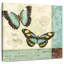 Patchwork papillon