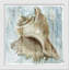 Shell Dreams II Painting
