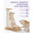 Deazia Scratching Post