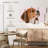 Brampt Beagle-108802648