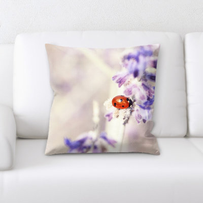 Coussin coccinelle