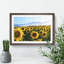 Sunflowers - Picture Frame Painting-62777808-62777809