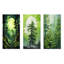 «Neon Green», séquoia, arbres, forêt, séquoia, ensemble d'art mural en métal, 3 pièces-103227215