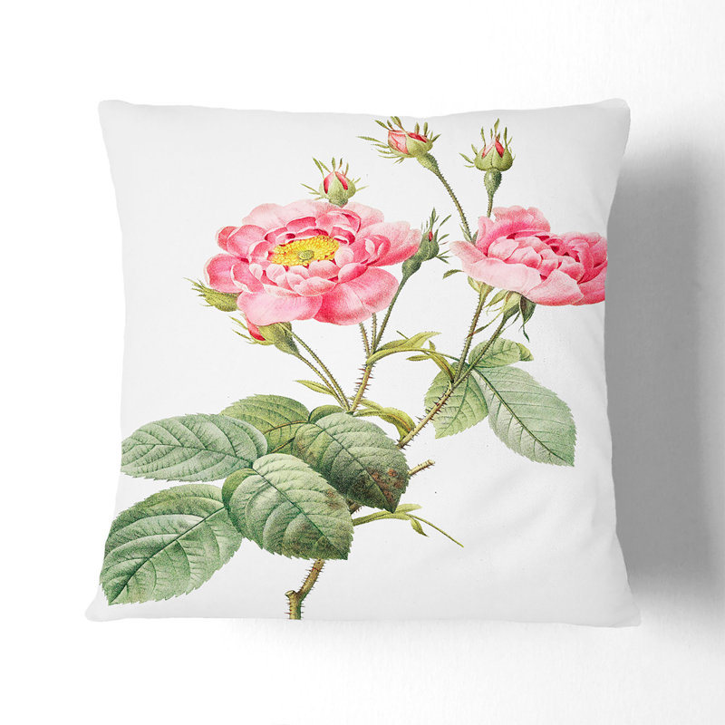 Floral Square Cushion, Stone, 55cm H x 55cm W x 20cm D