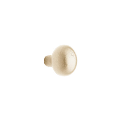 Egg Bronze Oval Knob
