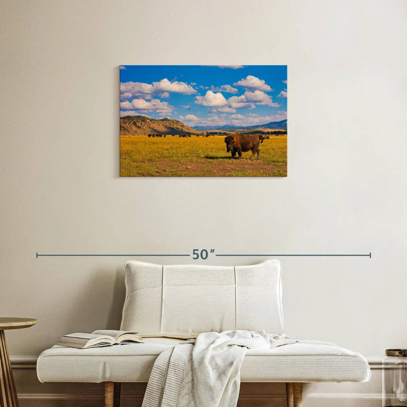 Bison dans le parc national, H 20 po x l 30 po