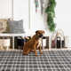 Tattersall Black Handwoven Indoor/Outdoor Rug