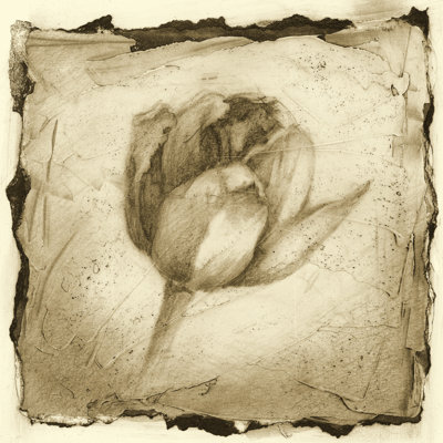 Floral Impression I by Ethan Harper - Wrapped Canvas Art Prints