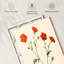 Geum Quellyon-132991697