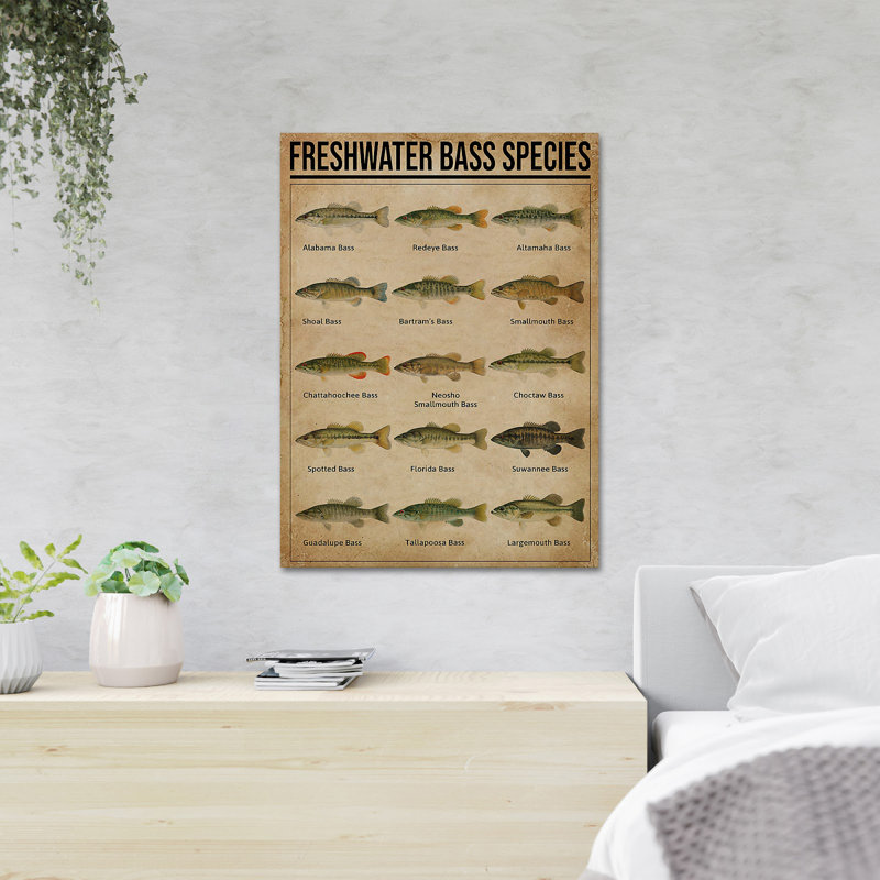 Knowledge About Fish - Freshwater Bass Species - 1 Piece Rectangle Graphic Art Print On Wrapped Canvas, 14" H x 11" W x 2" D