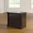 Armetha 36.811'' Wide 2 -Drawer File Cabinet-299448368