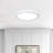 Roshika LED Flush Mount