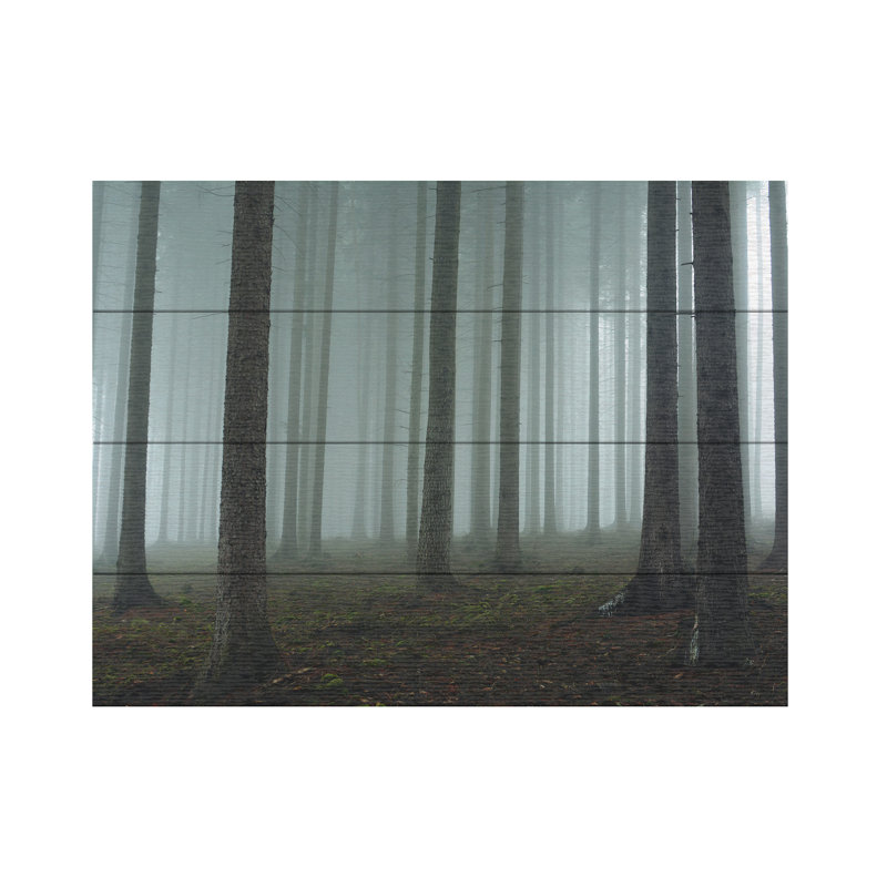 David Charouz, art de lattes en bois de forêt brumeuse, H 12 po x l 16 po
