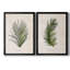 Palm Botanical I - ensemble de 2 photographies sur toile-1425392431-1425392424-1350425248