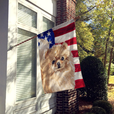 Shahnur Double Sided 40'' H x 28'' W Polyester Independence Day House Flag