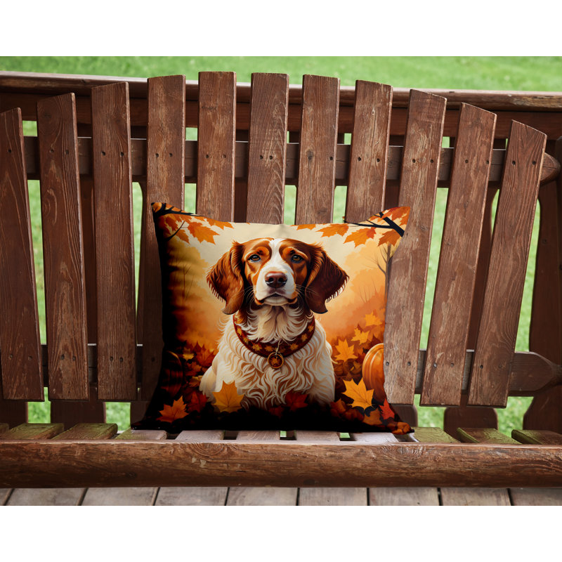 Coussin décoratif Brittany, 14 po x 14 po