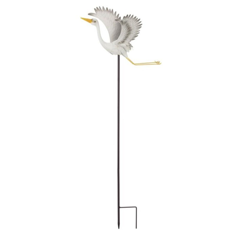 Piquet d'oiseau, Gris