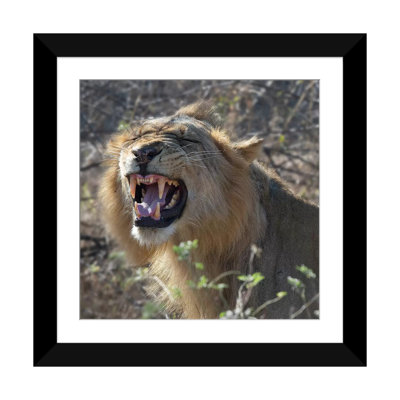 " Teeth " by Scott Bennion