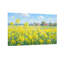 Plantes et fleurs fleurs jaunes champ ciel maisons arbres vert-2119112792