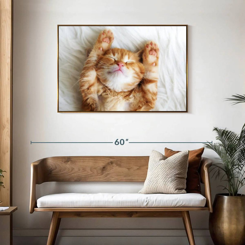 Sleepy Kitty, Cadre flottant doré, 43 po x 29 po