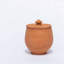 Terracotta Jar-696237099