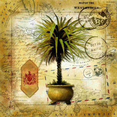 " Indies Palm "