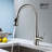 Bari-T Pull Down Single Handle Kitchen Faucet-73243938