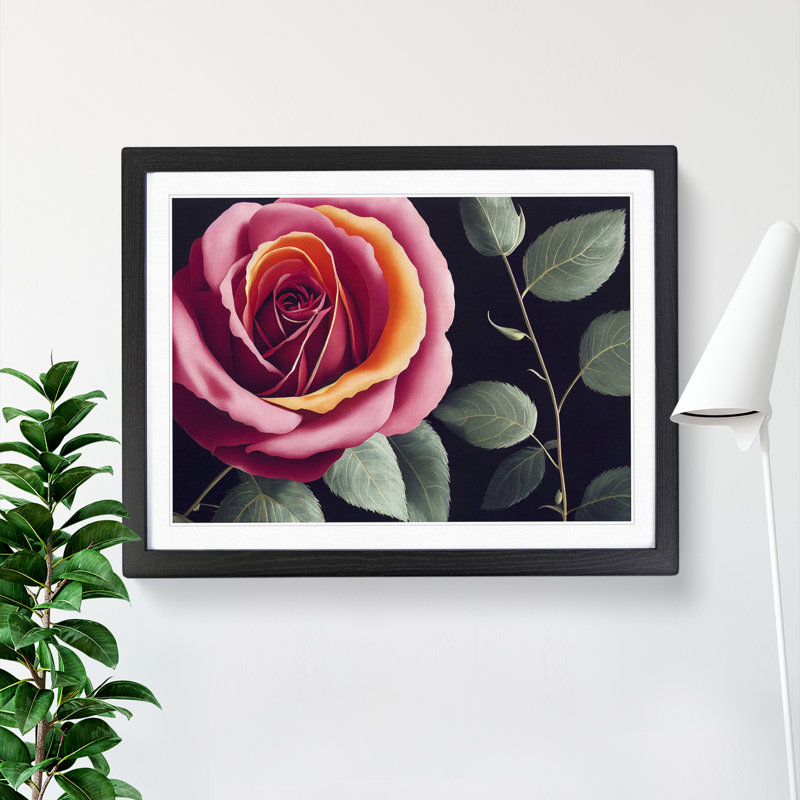Beaming Rose Flower 1 Piece Single Picture Frame Wall Art, 46cm H x 64cm W x 2cm D, Black