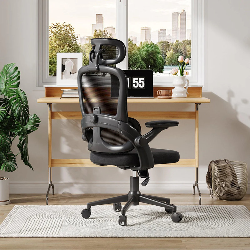 Ergonomic Mesh Office Chair with Adjustable Lumbar Support and Padded Armrests, for 5'3" to 6'6", Black, Black
