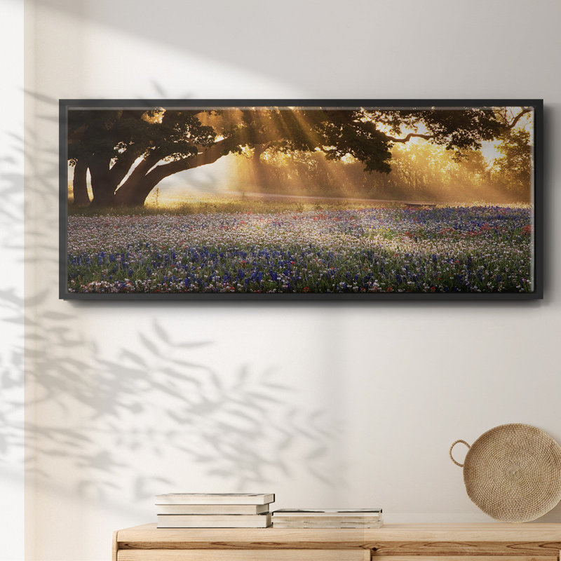 Morning Meadow - toile encadrée, H 24 po x l 60 po