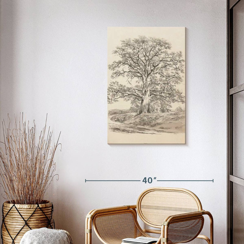 Un grand chêne, H 36 po x l 24 po