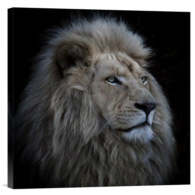 " Proud Lion " by Louise Wolbers