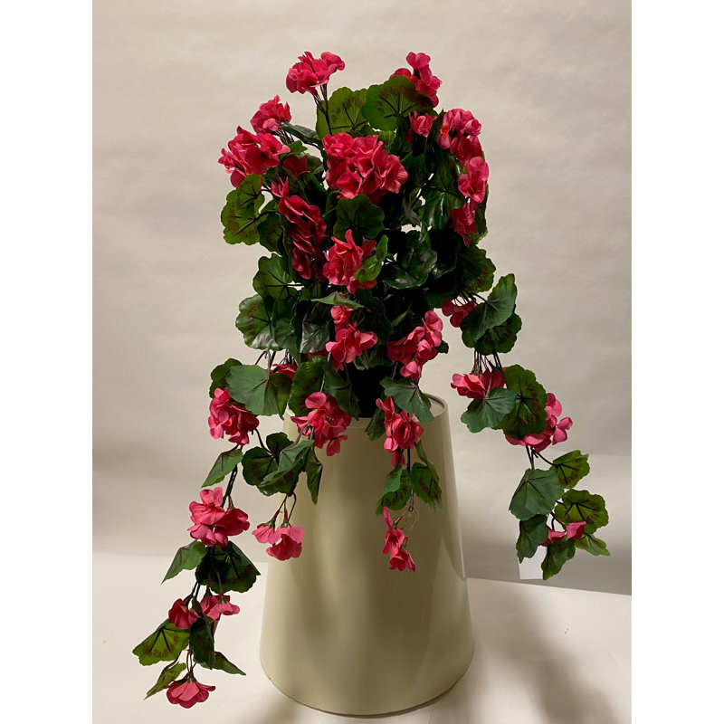 Arrangements floraux de géranium