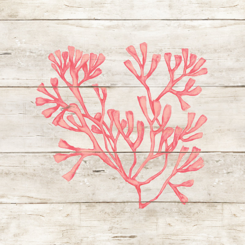 Coral Coral Wood - Wrapped Canvas Painting, 30cm H x 30cm W x 3.8cm D