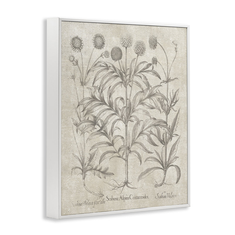 Art rétro de giclée encadrée par Planted, Estampe numérique encadrée blanc bord de mer, H 14 po x l 11 po