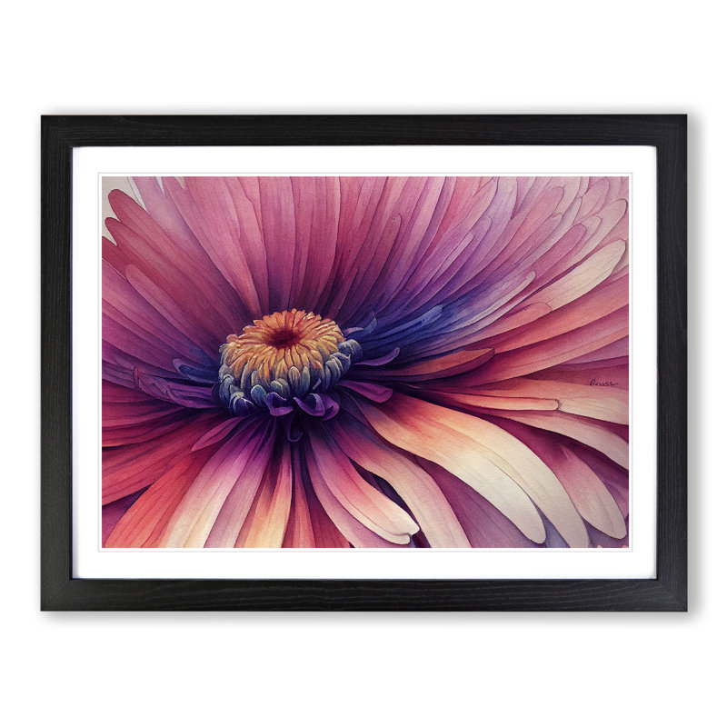 Watercolour Chrysanthemum Flower Vol.1 - Single Picture Frame Print, 46cm H x 64cm W x 2cm D, Black Framed