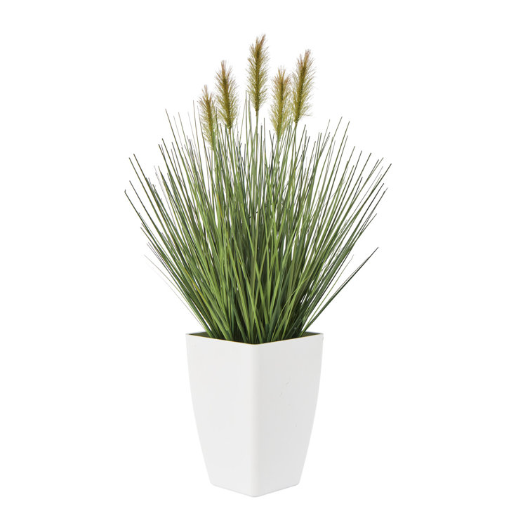 Faux Pampas Grass - 6 Stems - 48 Long - Sand