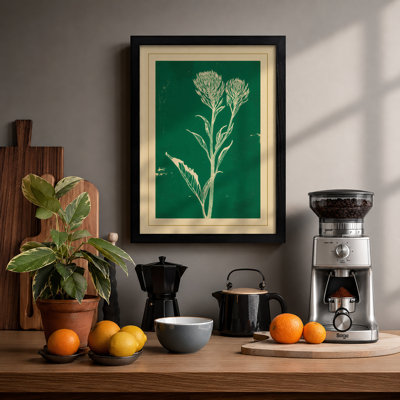 Cream Carnation Study Botanical - Print