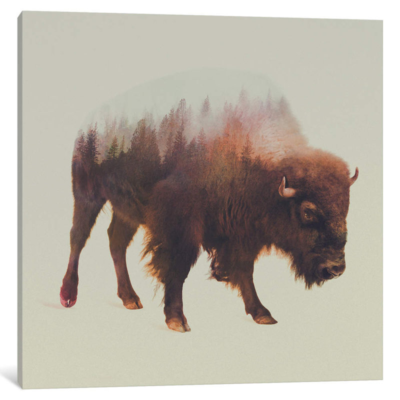Bison I by Andreas Lie - Print on Canvas, 45.72 cm H x 45.72 cm W x 1.91 cm D, No Frame