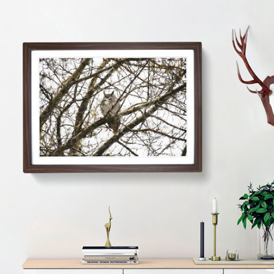 Great Horned Owl Resting - Single Picture Frame Print on MDF