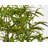 49" Artificial Bamboo Tree With 6 Black Trunks In A Pot