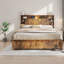 Lits Queen gain de place avec rangement moderne, cadre en bois foncé