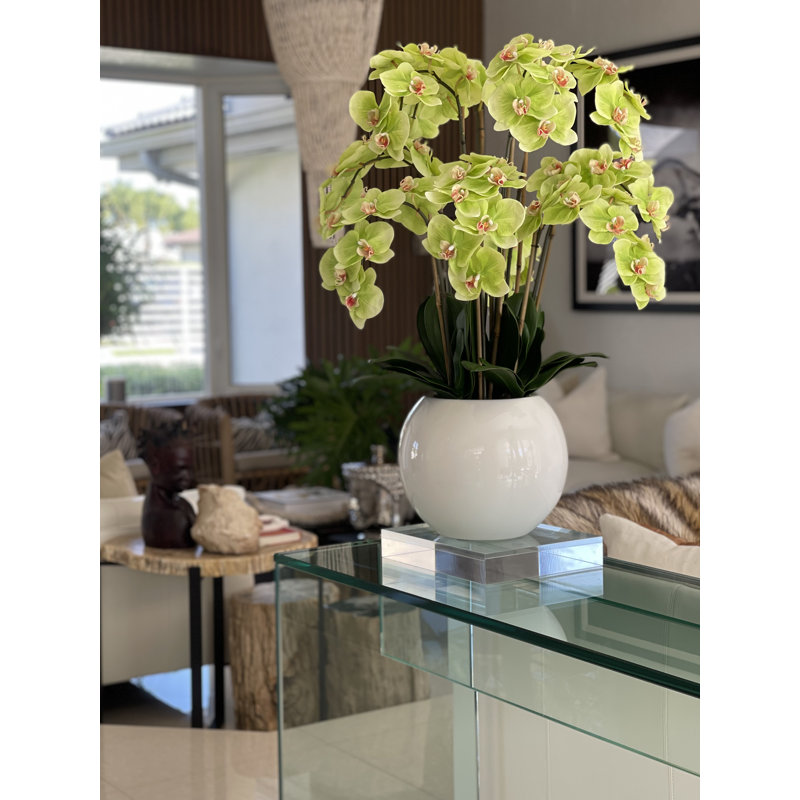 Arrangement floral orchidée phalaenopsis en pot, Vert