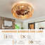 Ventilateurs de plafond en cage avec lumières