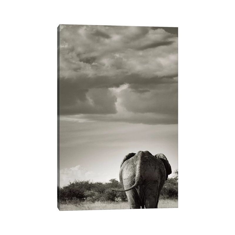 B&W Returning Elephant 1 Piece Wrapped Canvas Wall Art, 101.6 cm H x 66.04 cm W x 1.91 cm D