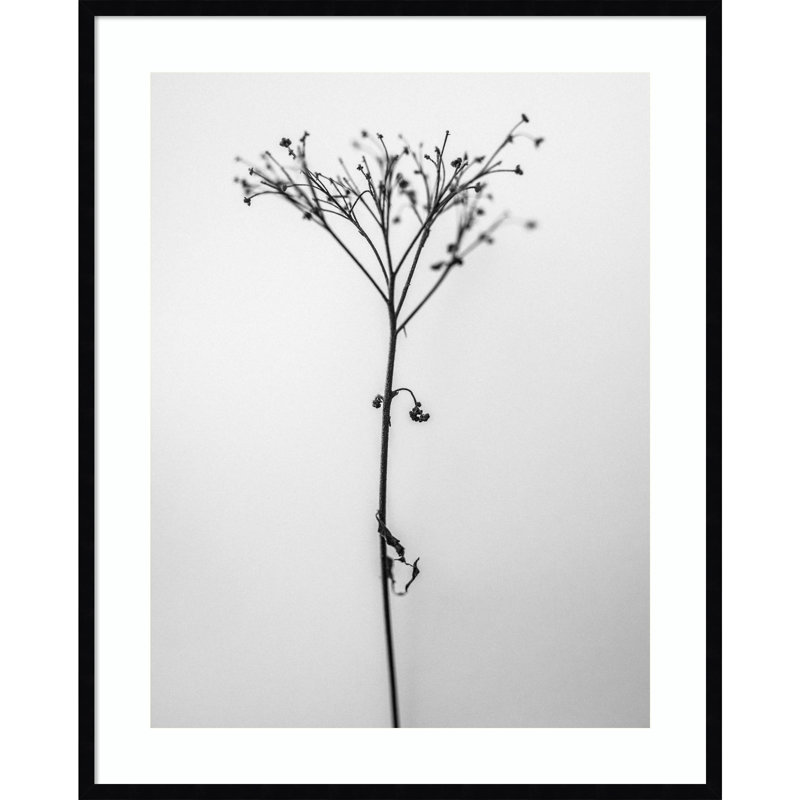 «Amid the Flowers 13» par Teis Albers - Impression sur papier d'une seule photo, H 41 po x l 33 po x P 1 po