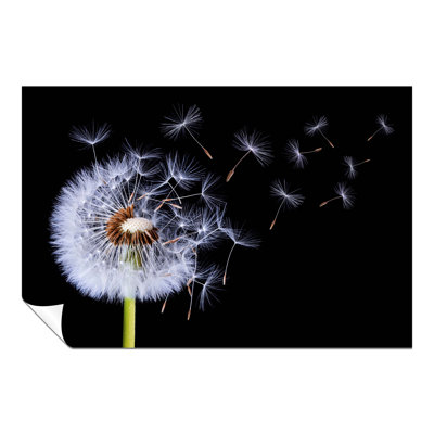 Dandelion Blossom Wind Blown - No Frame Print