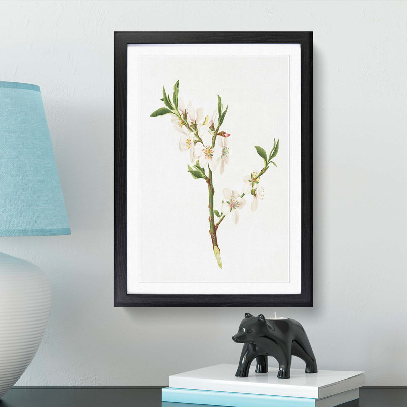 Almond Tree Flower by Giorgio Gallesio - Single Picture Frame Painting, 63cm H x 45cm W x 2cm D, Black Framed